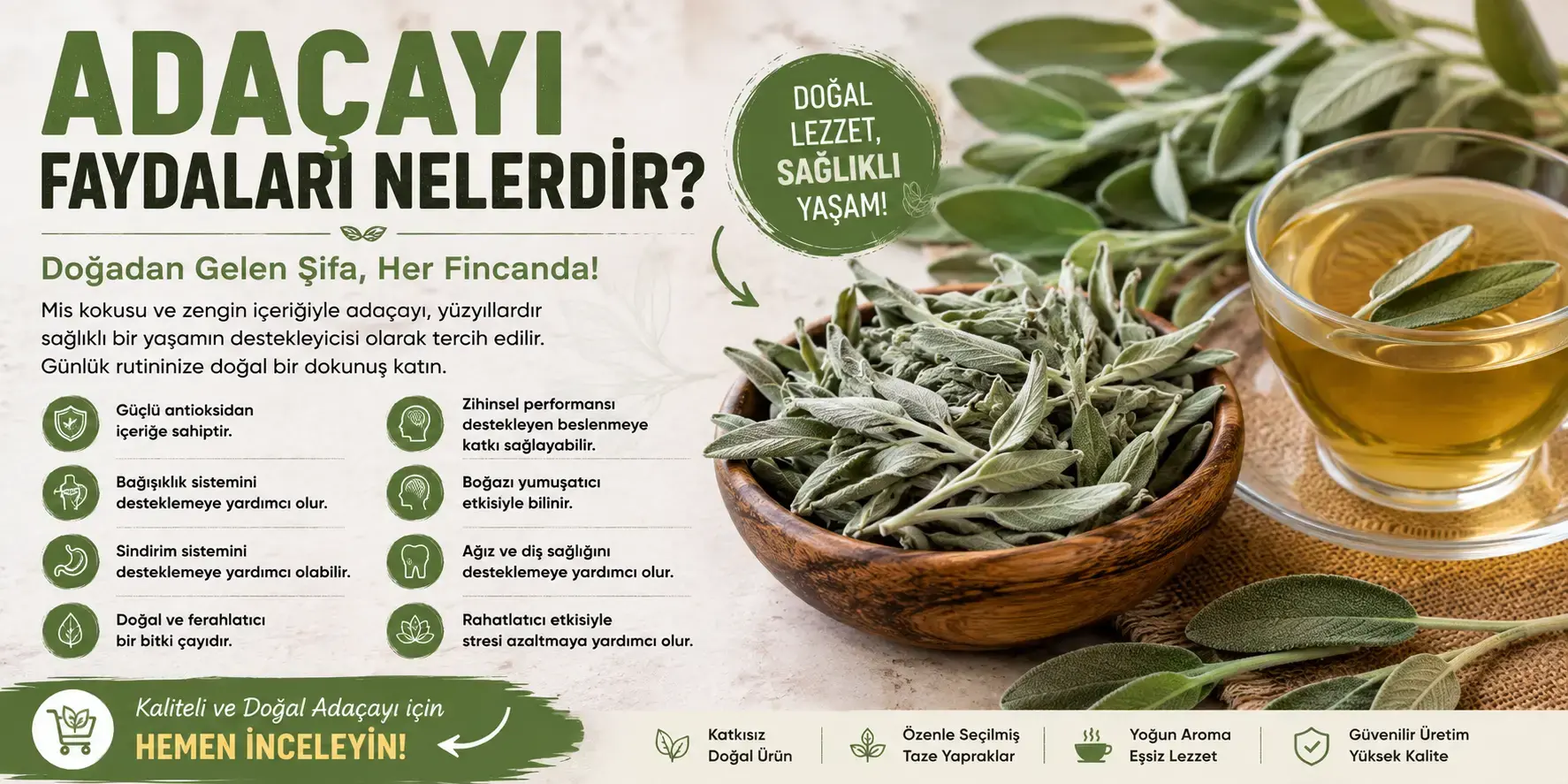 Adaçayı Faydaları Nelerdir? Adaçayı Ne İşe Yarar?