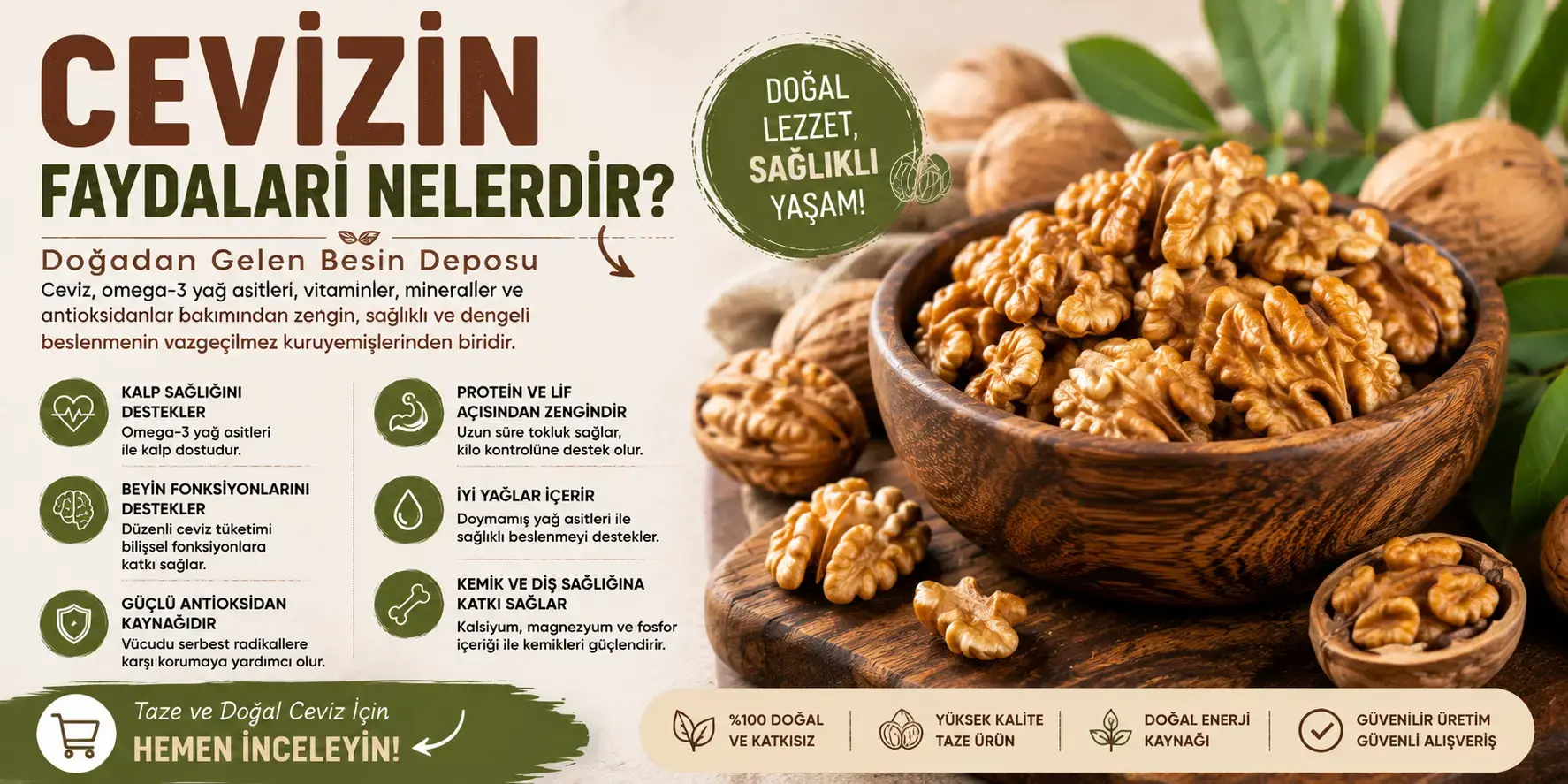 Cevizin Faydaları Nelerdir? Ceviz Ne İşe Yarar?