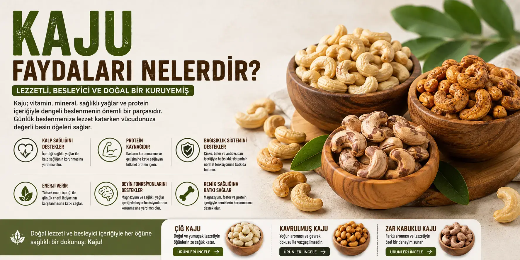 Kaju Faydaları Nelerdir? Kaju Tüketmenin Faydaları
