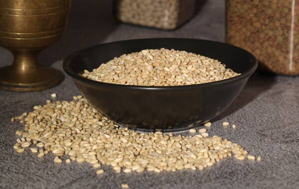 AŞURELİK BUĞDAY - 1