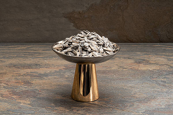 AYÇEKİRDEĞİ DAKOTA - 2