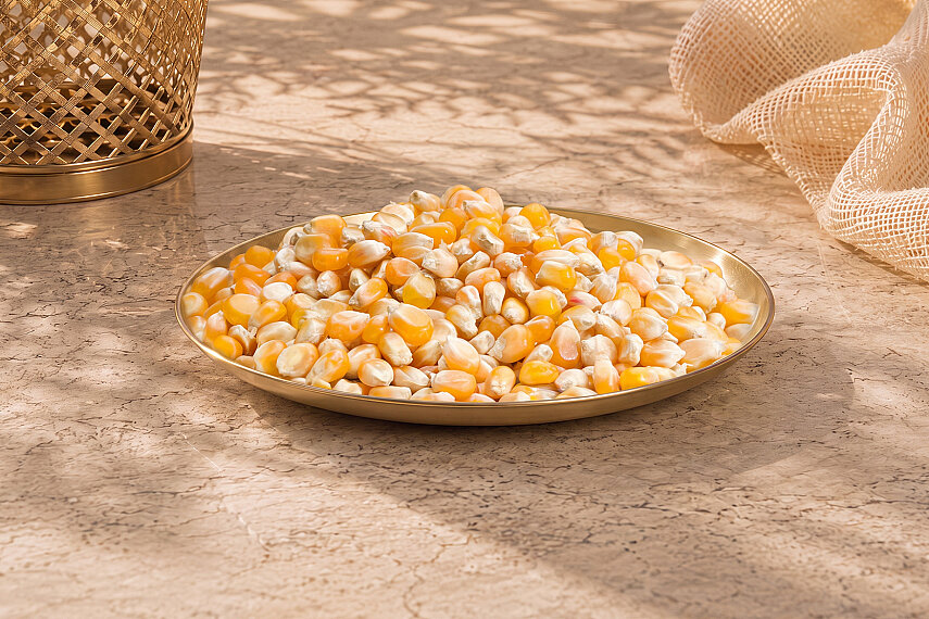 MISIR POPCORN - HALKTAN